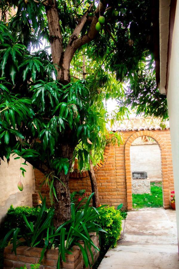 Villa Flores, Casa En El Centro De Mascota Exterior foto